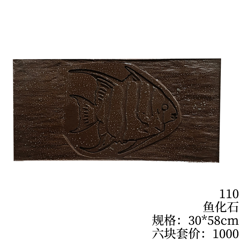 110-鱼化石